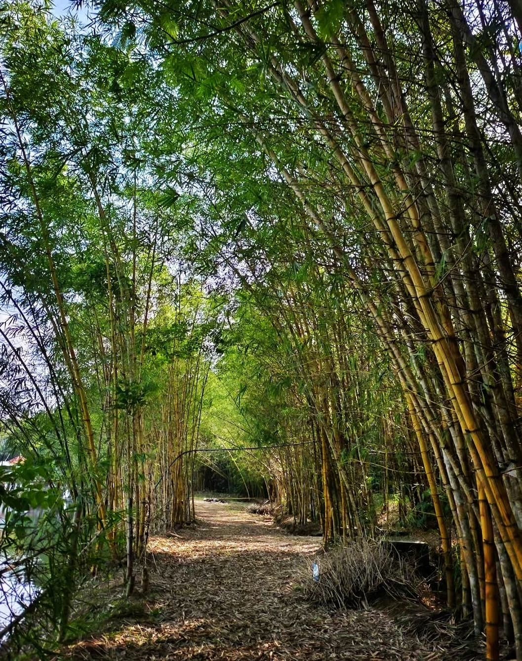 Uravu Bamboo Factory, Wayanad