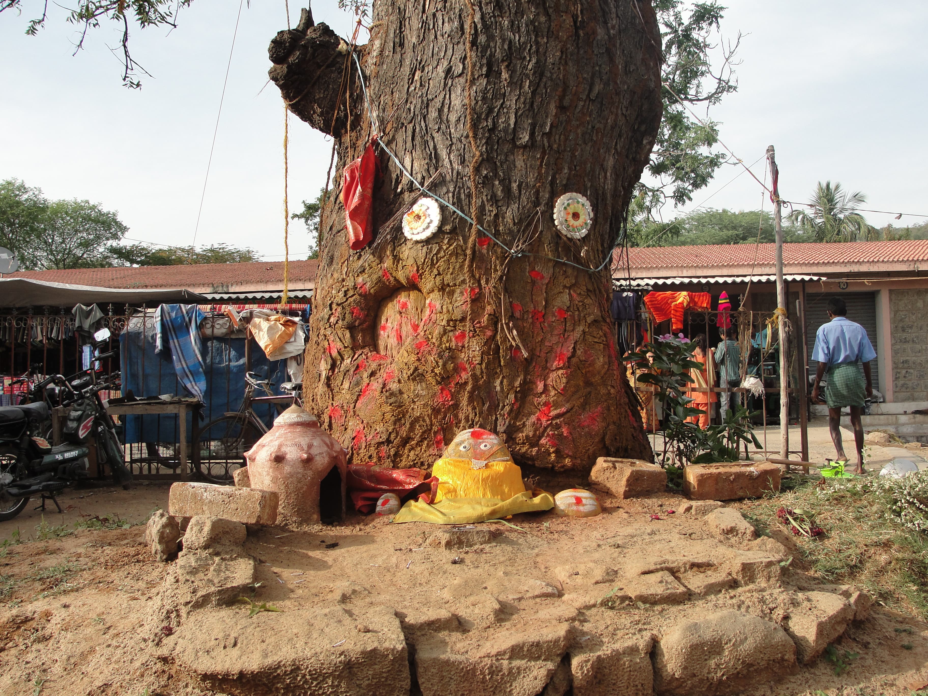 The tree workship