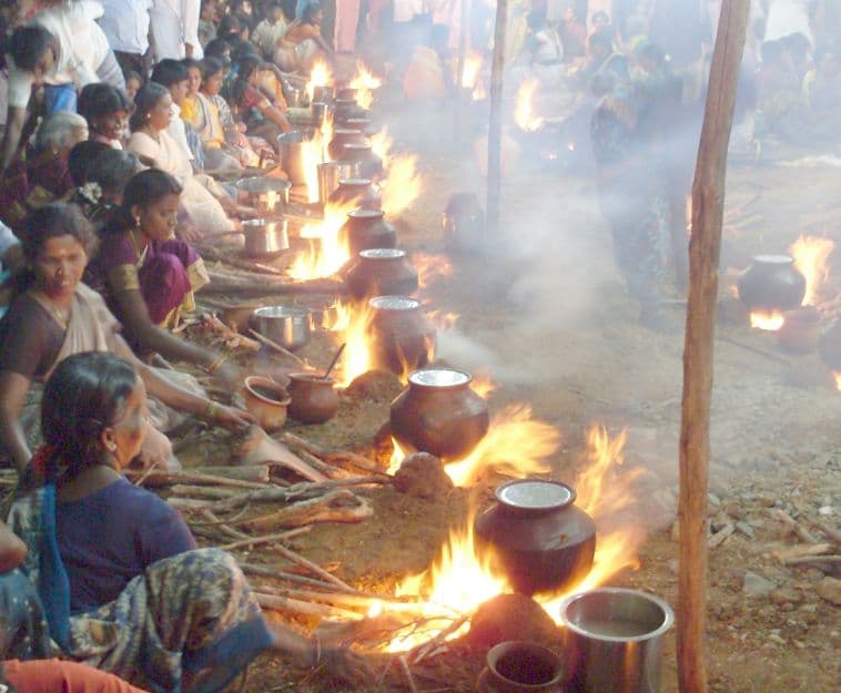 Pongal Celebrations in Kodaikanal