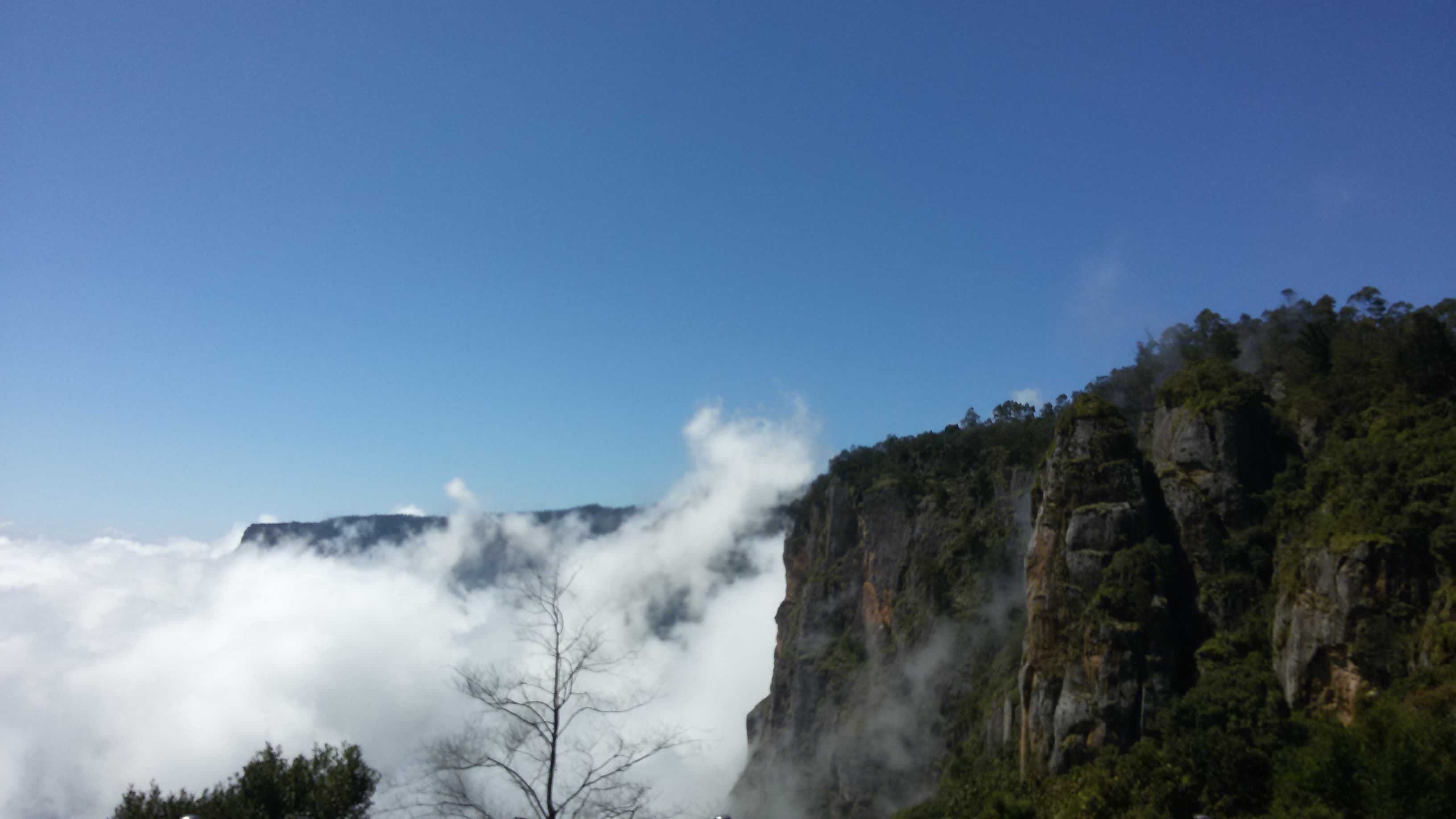 View of Pillar rock