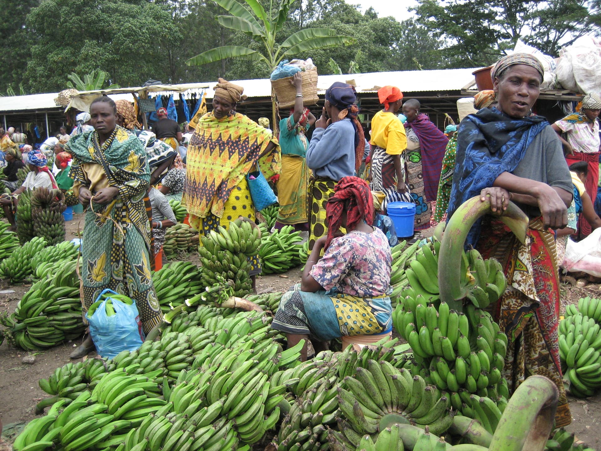 The buzzing fruit market view