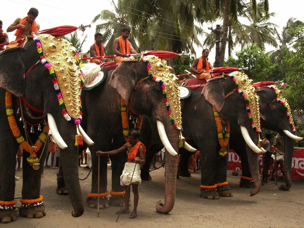 The Karivela celebrations, Wayanad