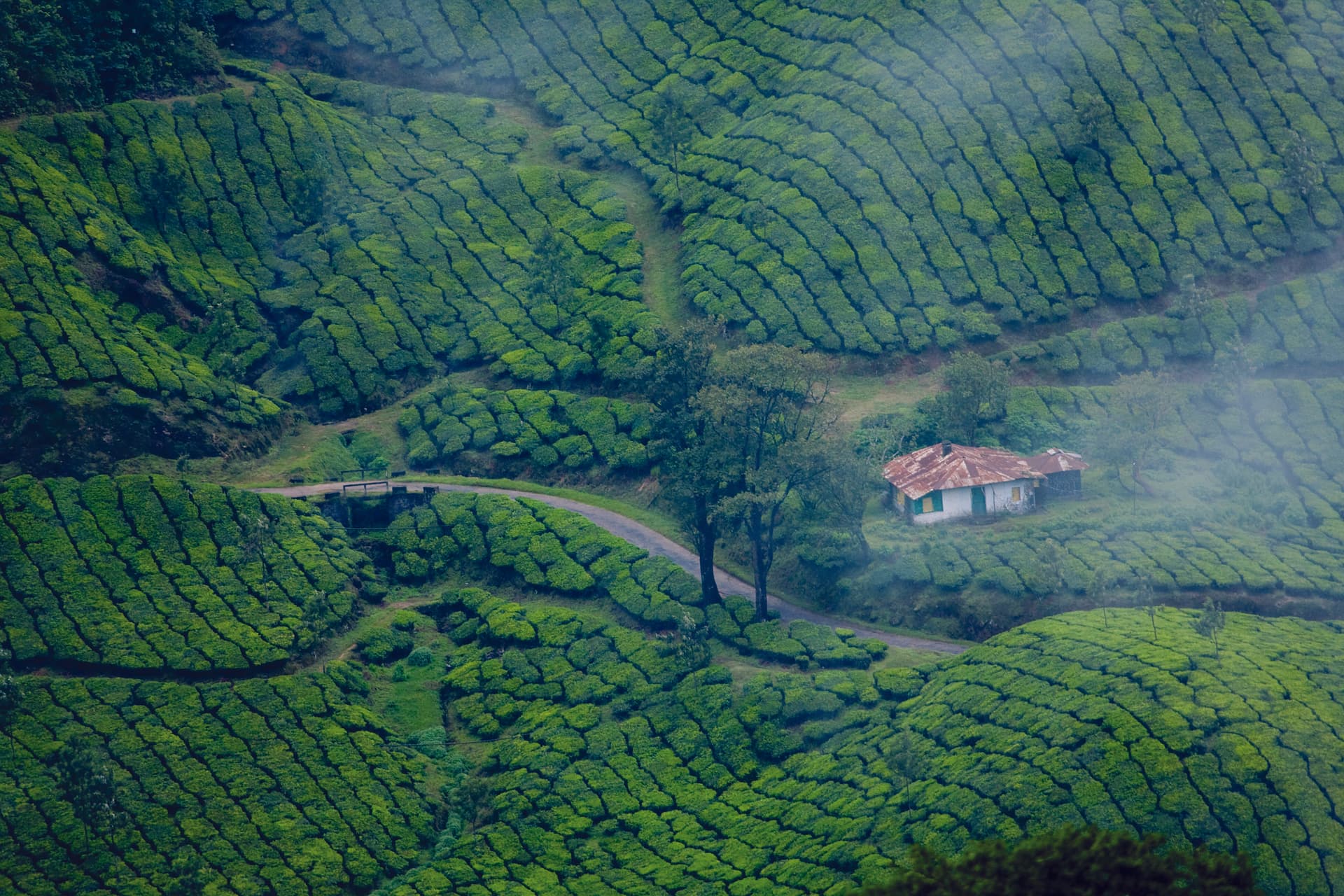 Breathtaking beauty of Munnar 