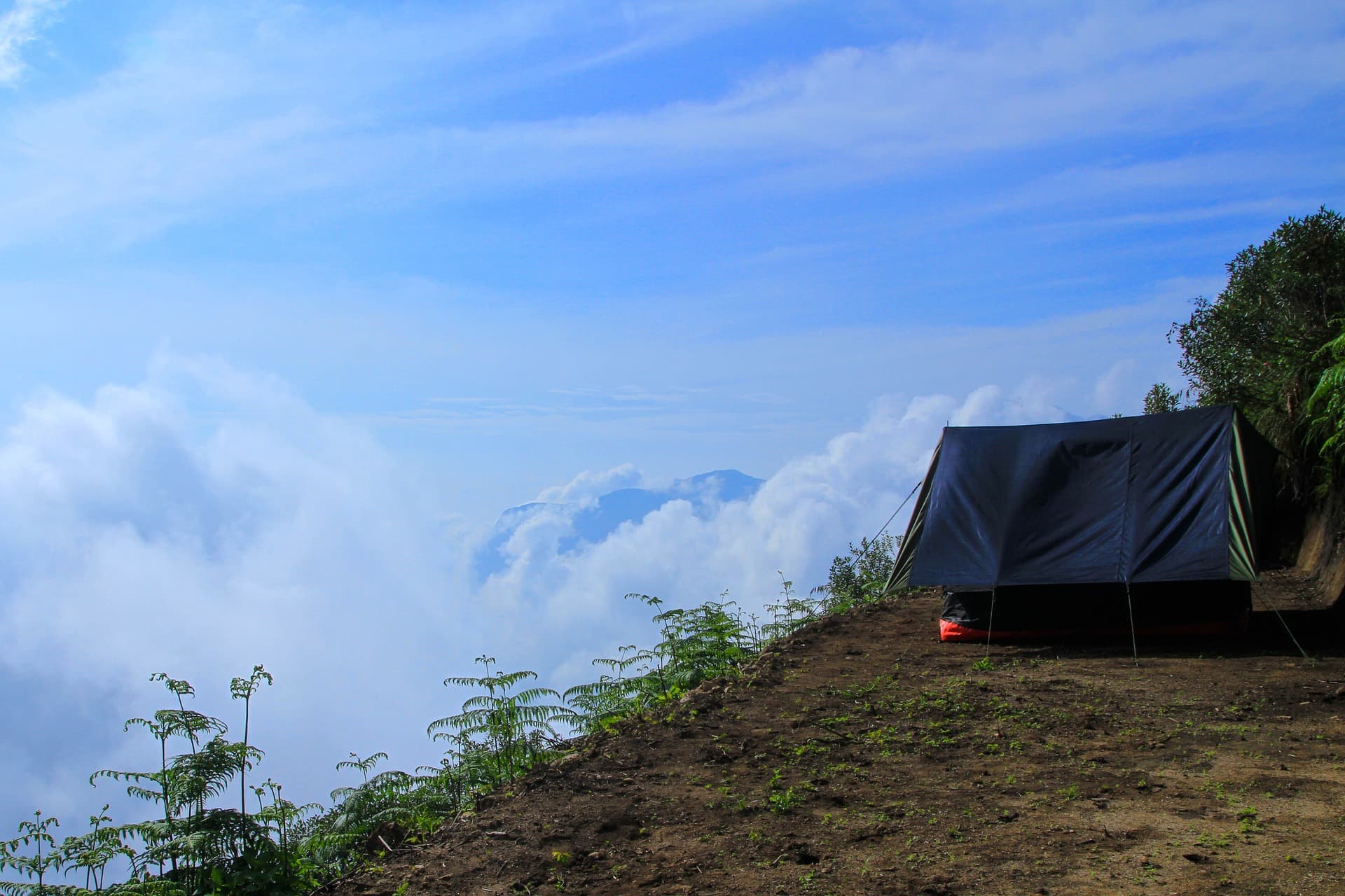 Camping in Munnar 