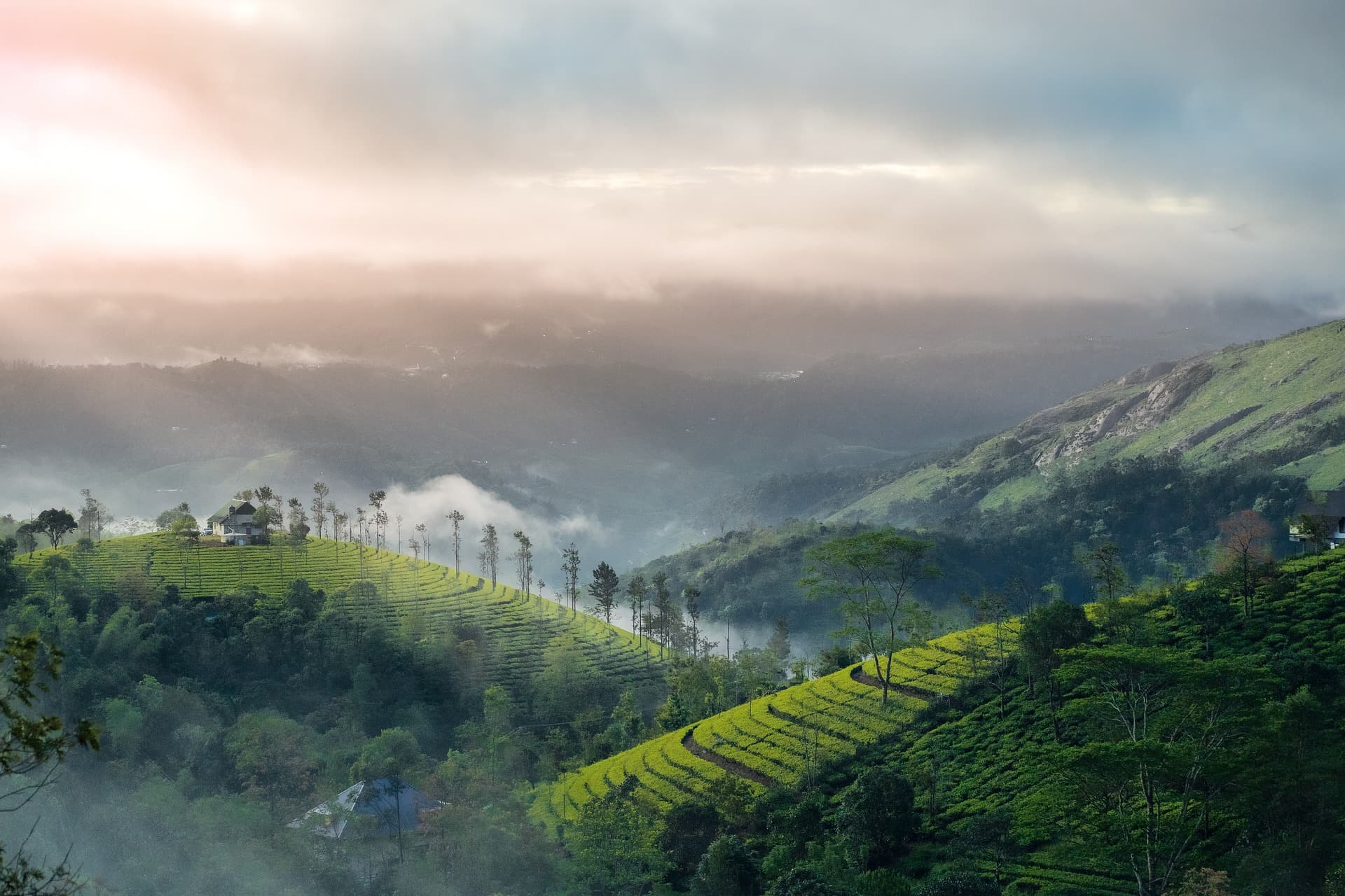Munnar 