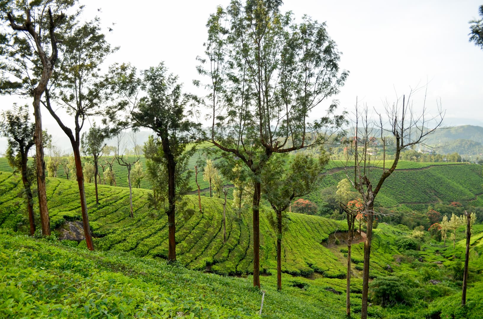 Chithirapuram Trek 