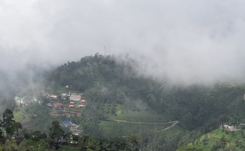 View from Pothamedu Trek 