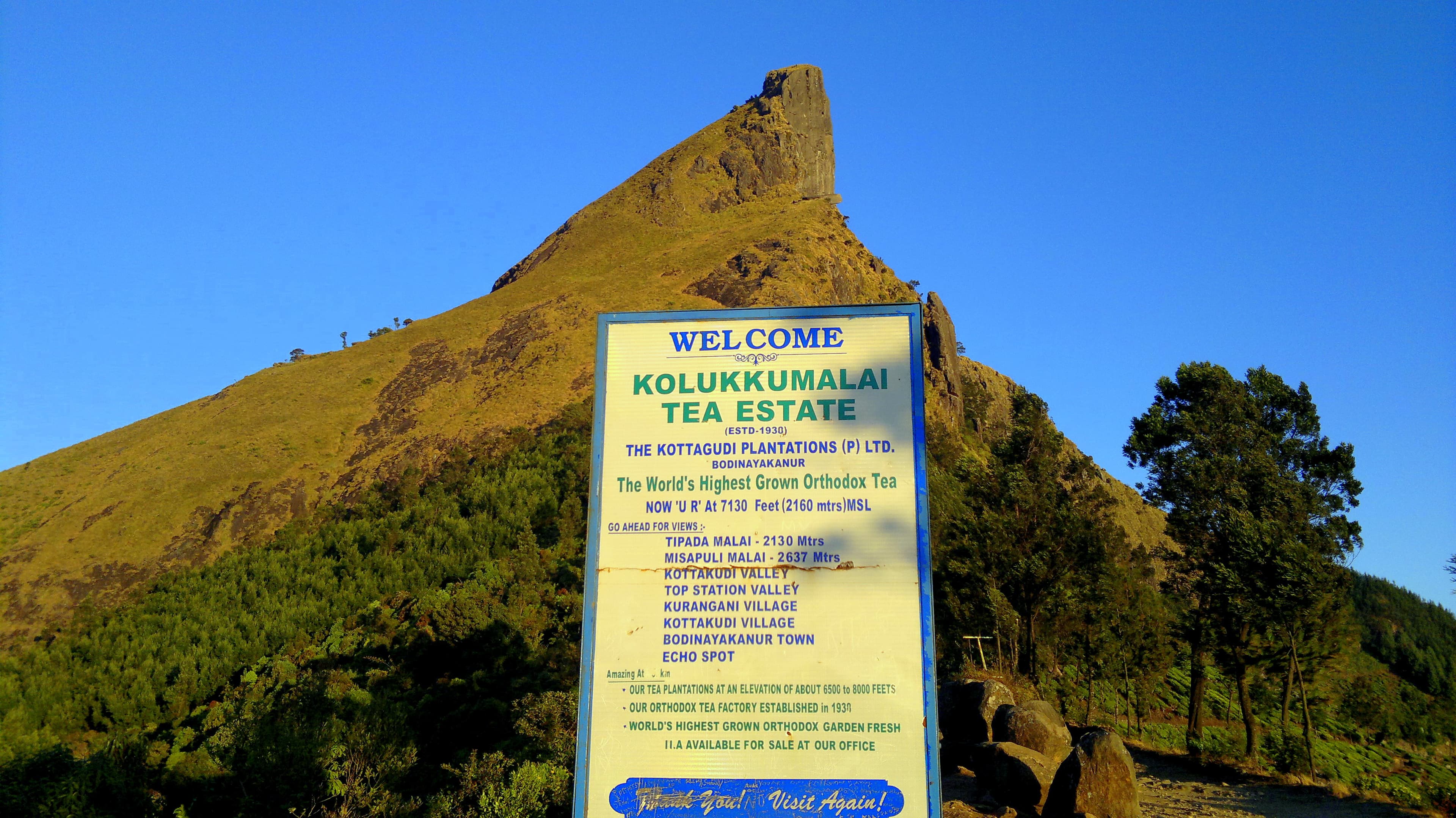 Kolukkumalai Tea Estate 