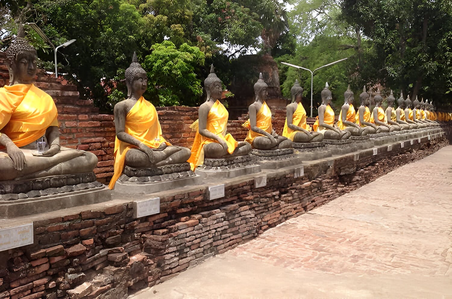 series of buddha stautes 