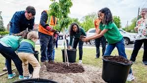 Community Participation