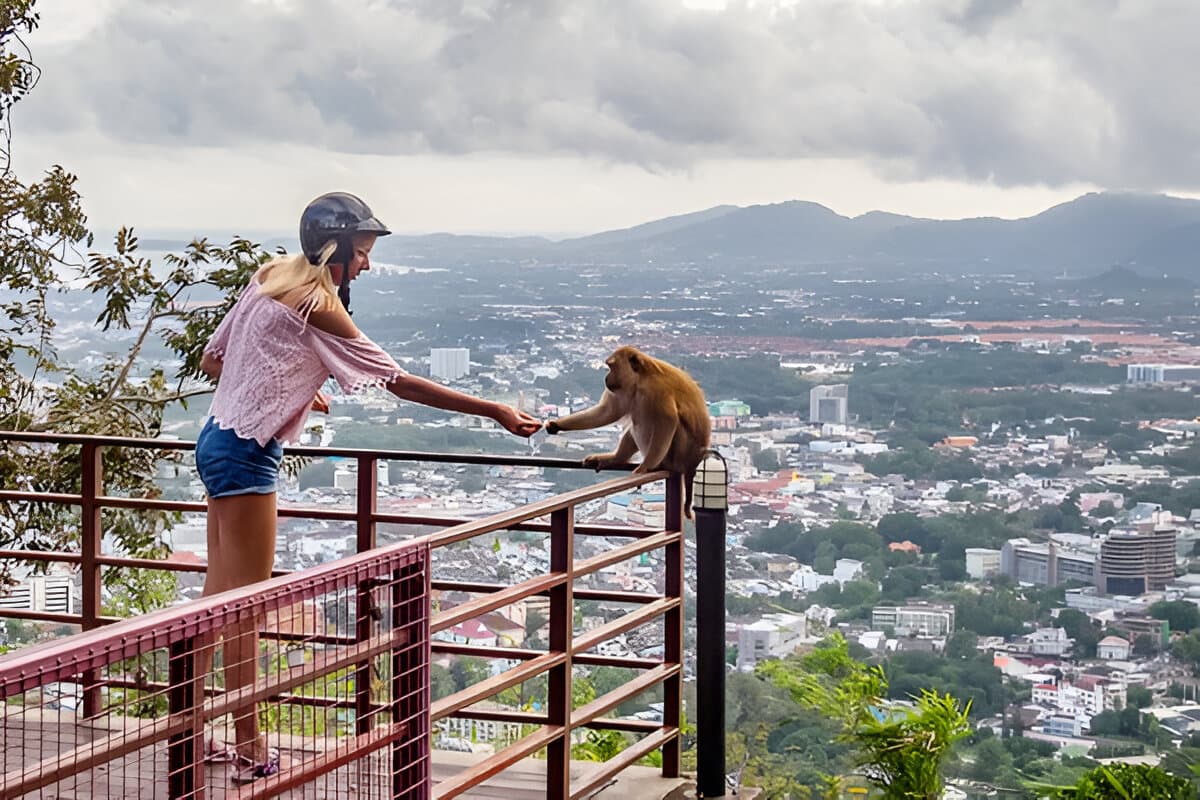 A woman feeding a monkey