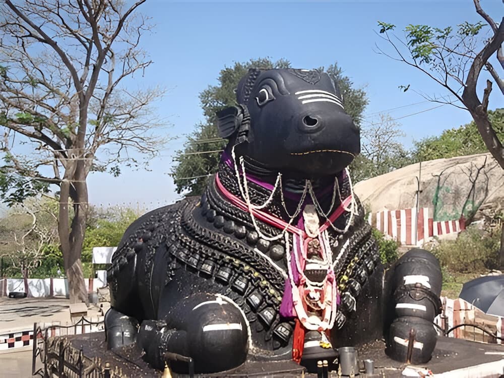 Bull statue at the temple