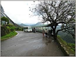 Eravikulam National Park way