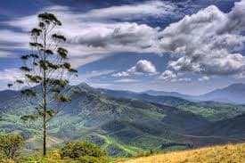 Eravikulam National Park view