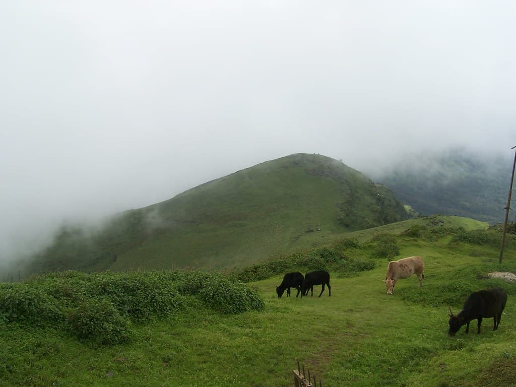 Scenic Beauty of Mullayanagiri