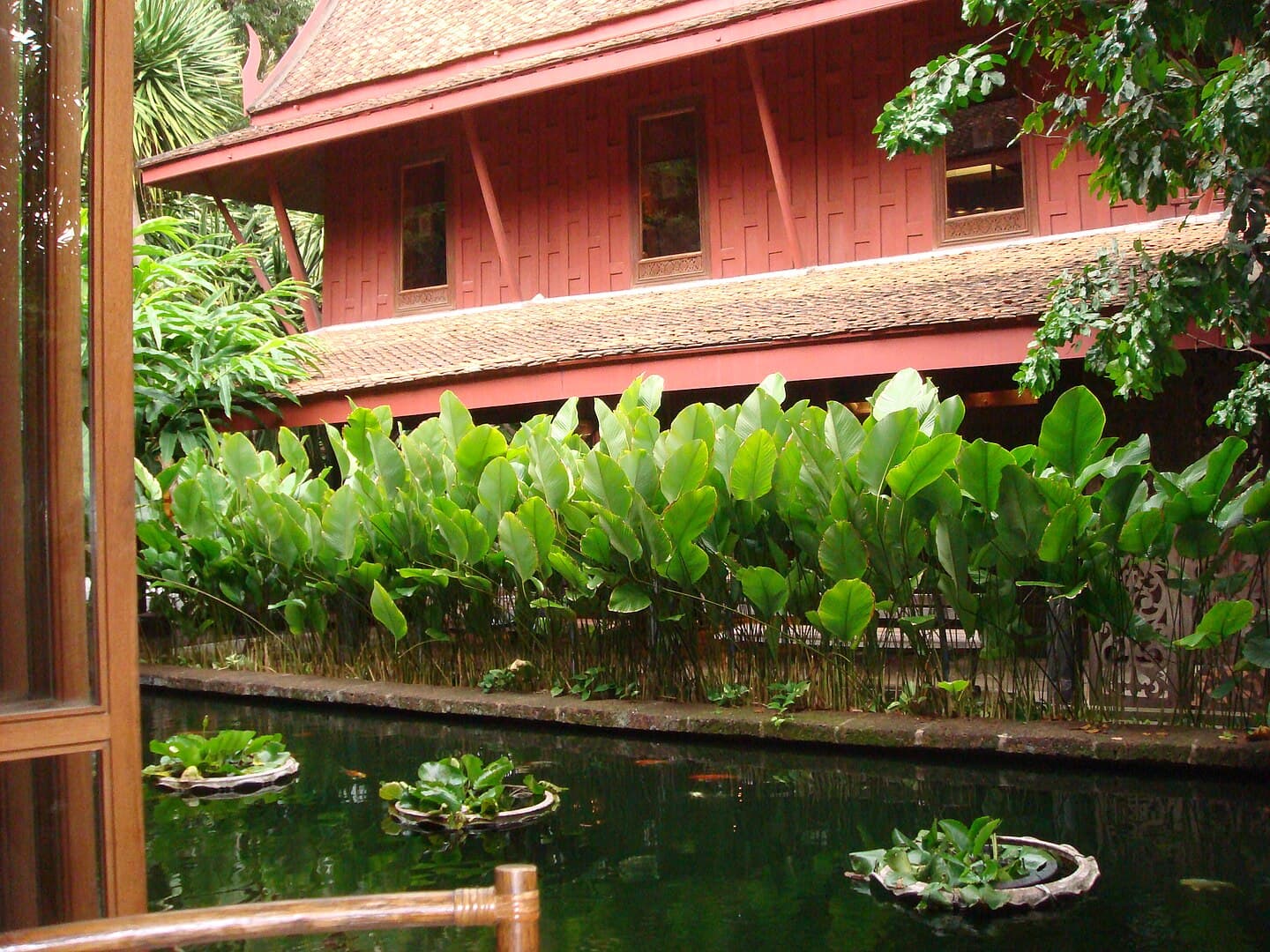 A closer look of the pond