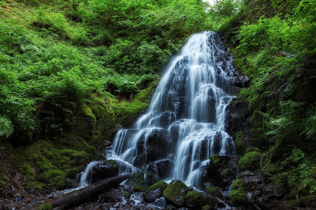 View of Fairy falls