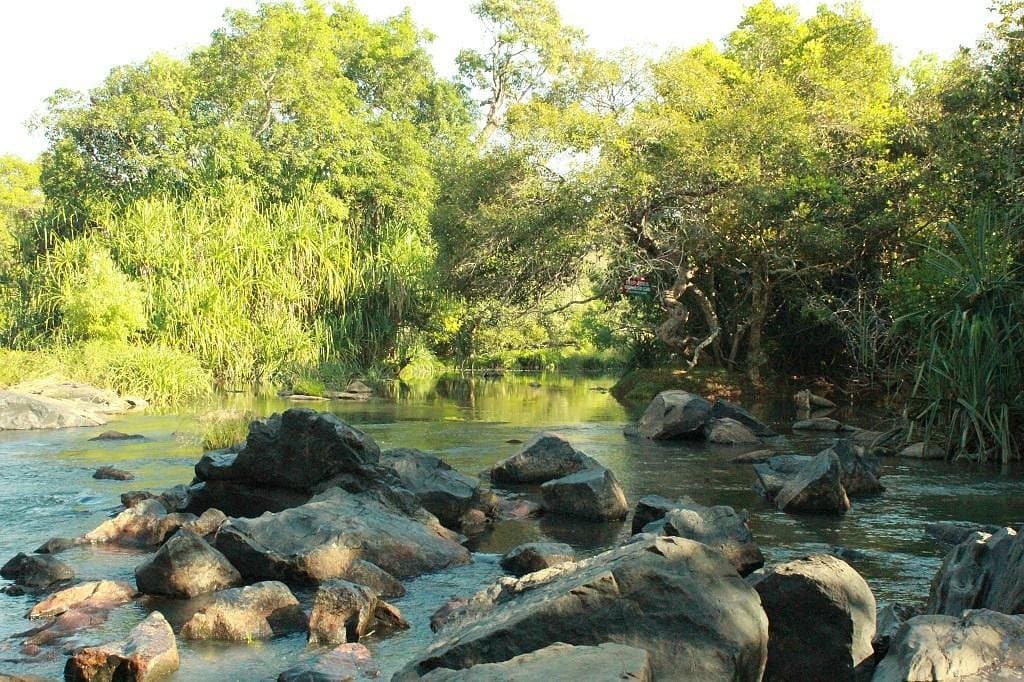 Kuruva Island river flow