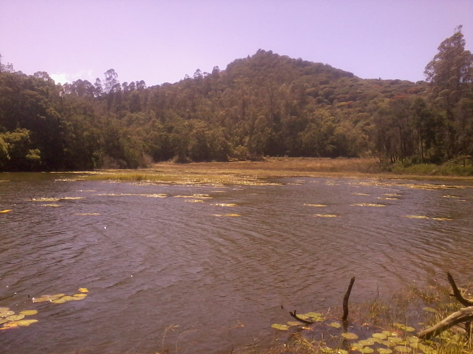 Berijam Lake view