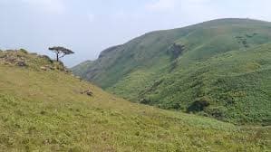 Baba Budangiri Landscape