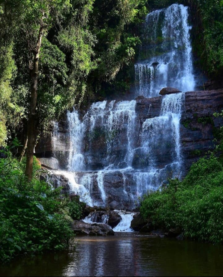 The Jhari Cascade