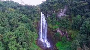 Hebbe Falls and Forest View