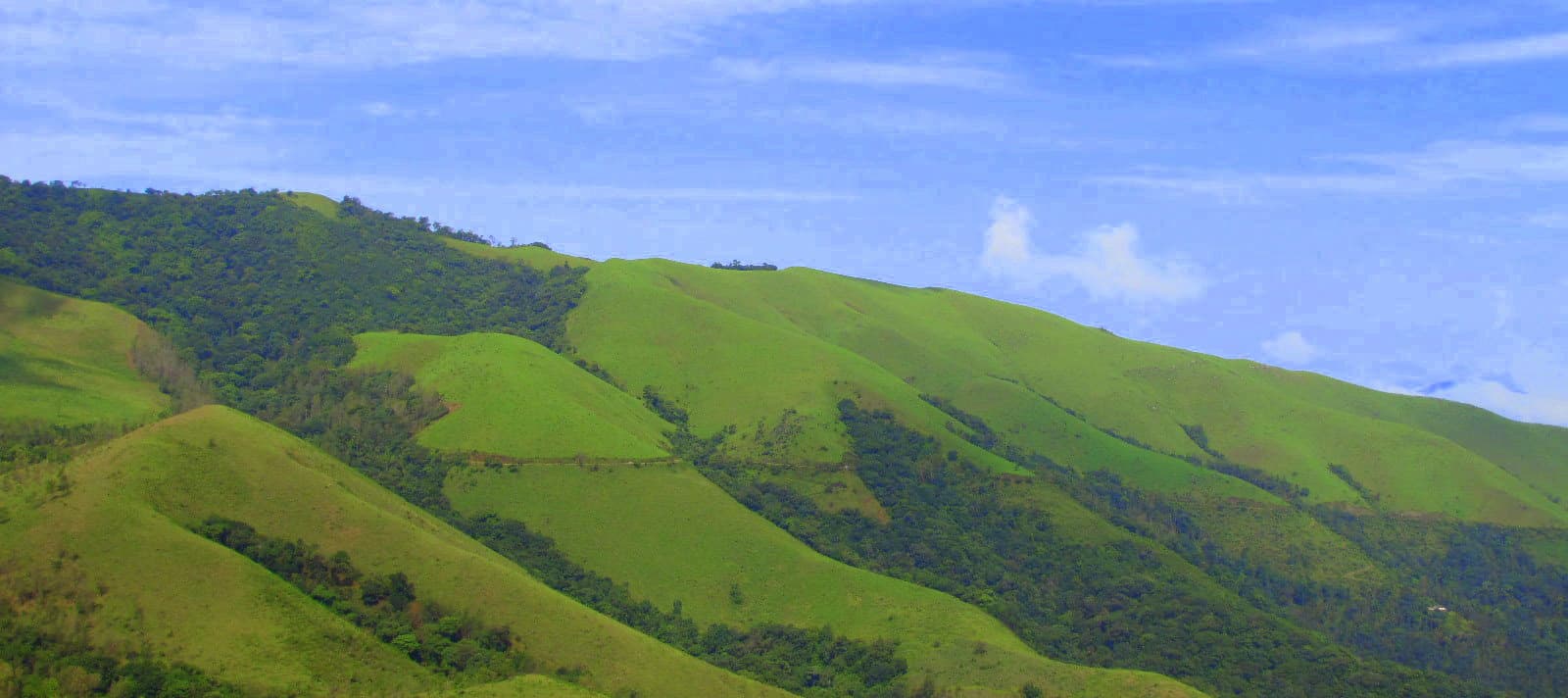 Valley view from Z-Point near Kemmangundi