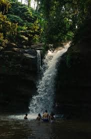 Soormane falls forest canopy