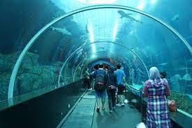 The interior of SEA aquarium 