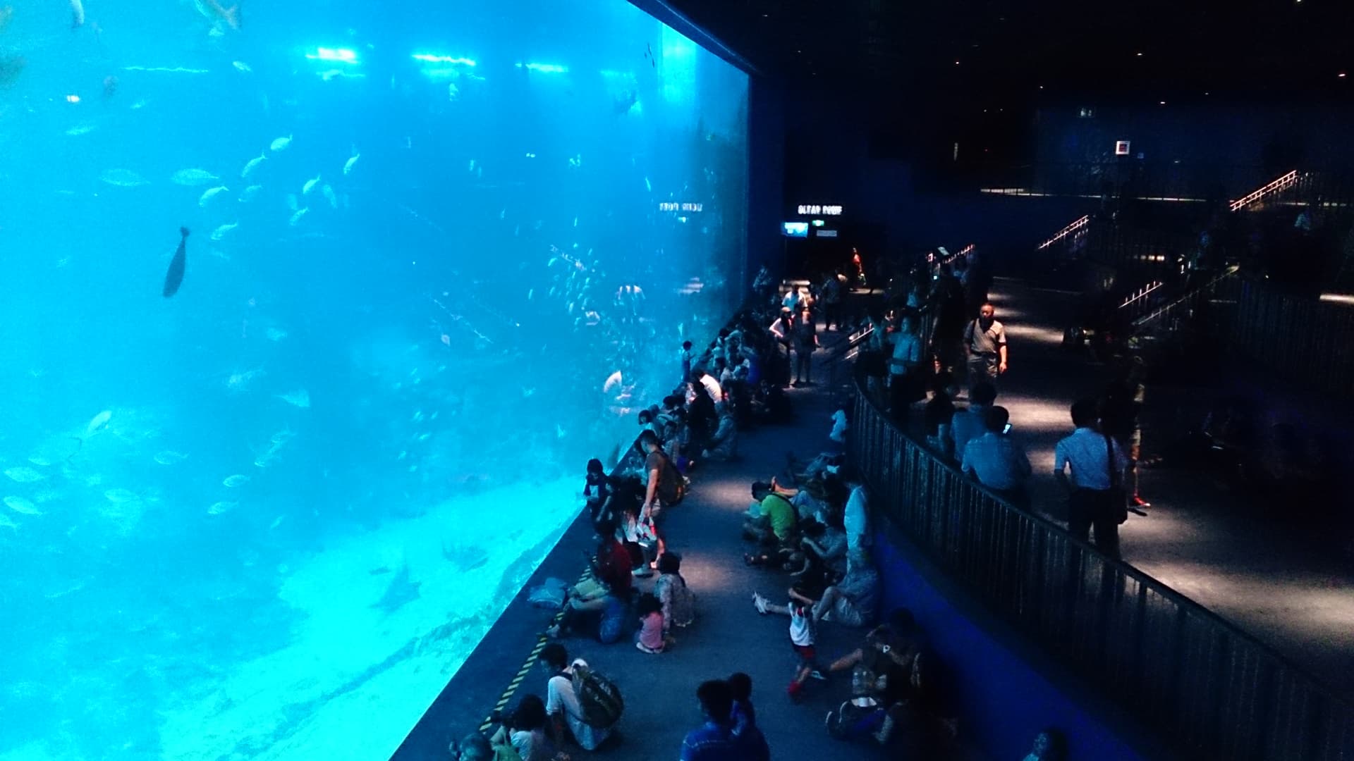 Crowd at SEA aquarium