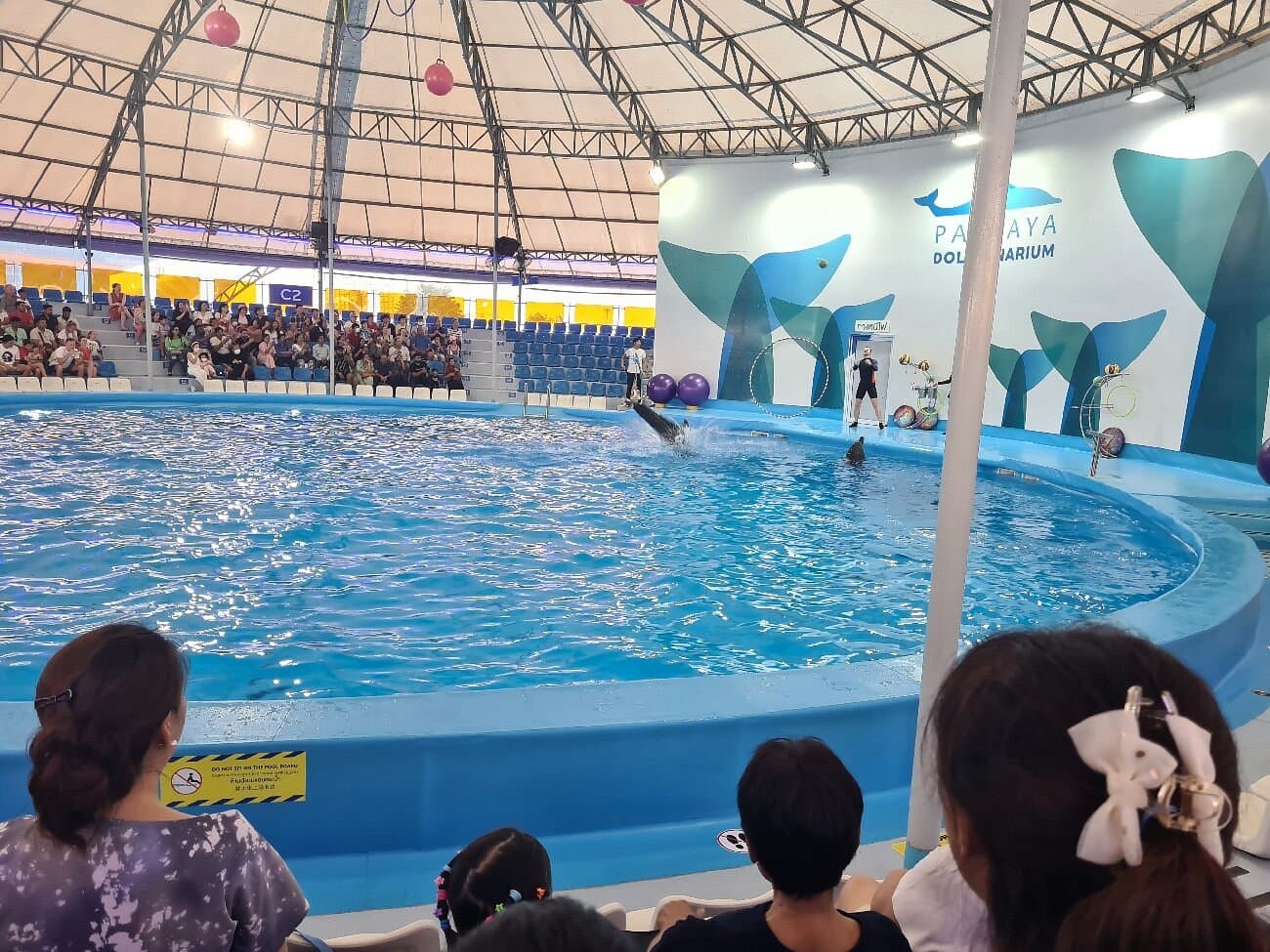 Acrobatic show with the Dolphins