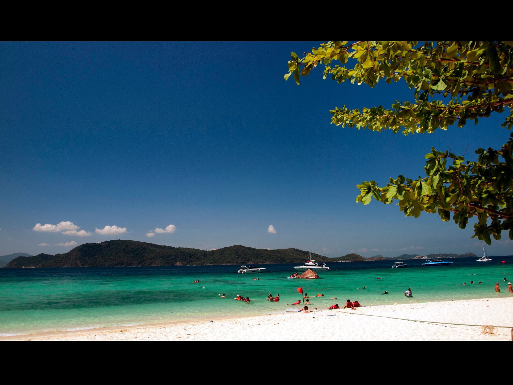 Coral Island 