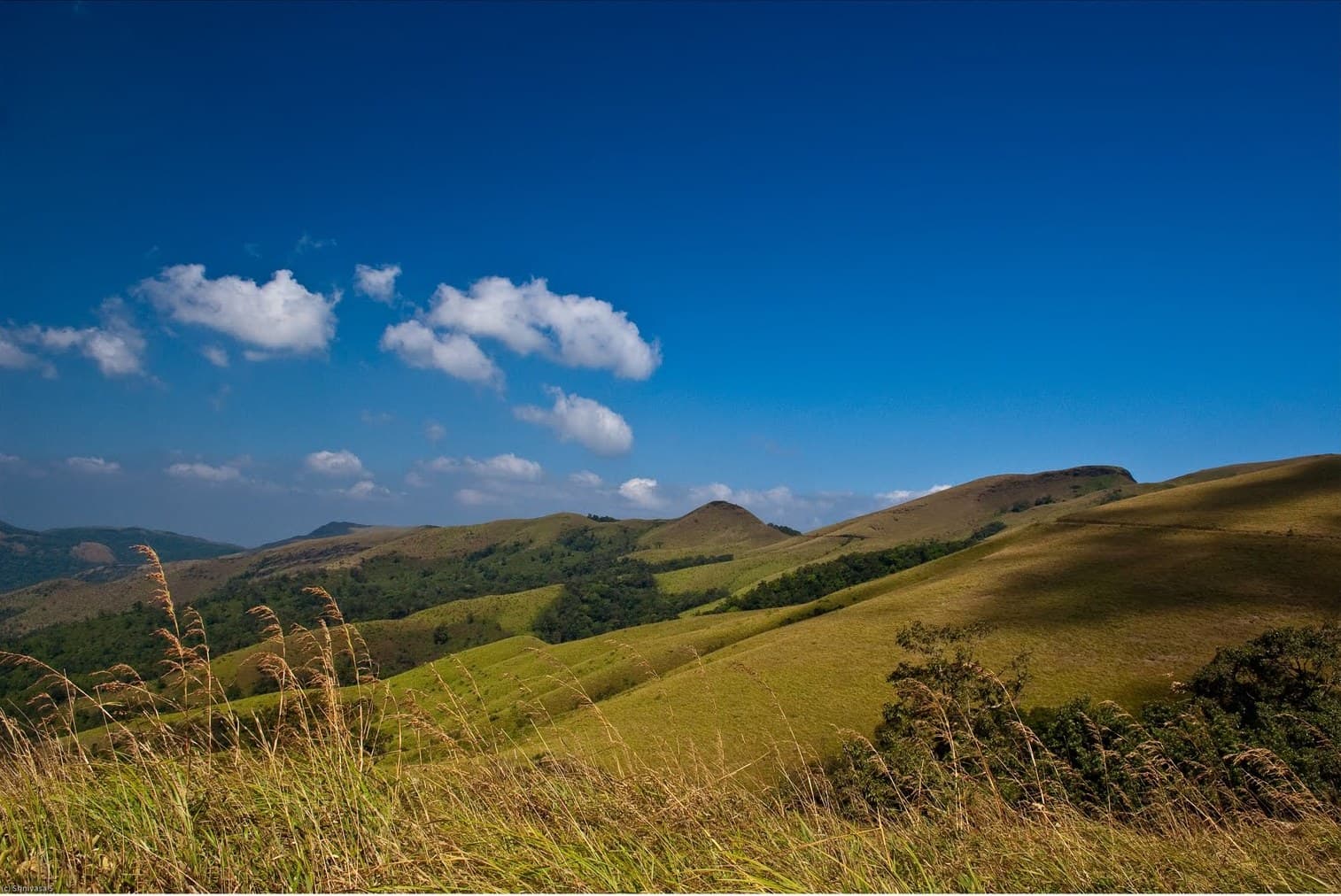 Kemmangundi Hill Station, Chikmagalur
