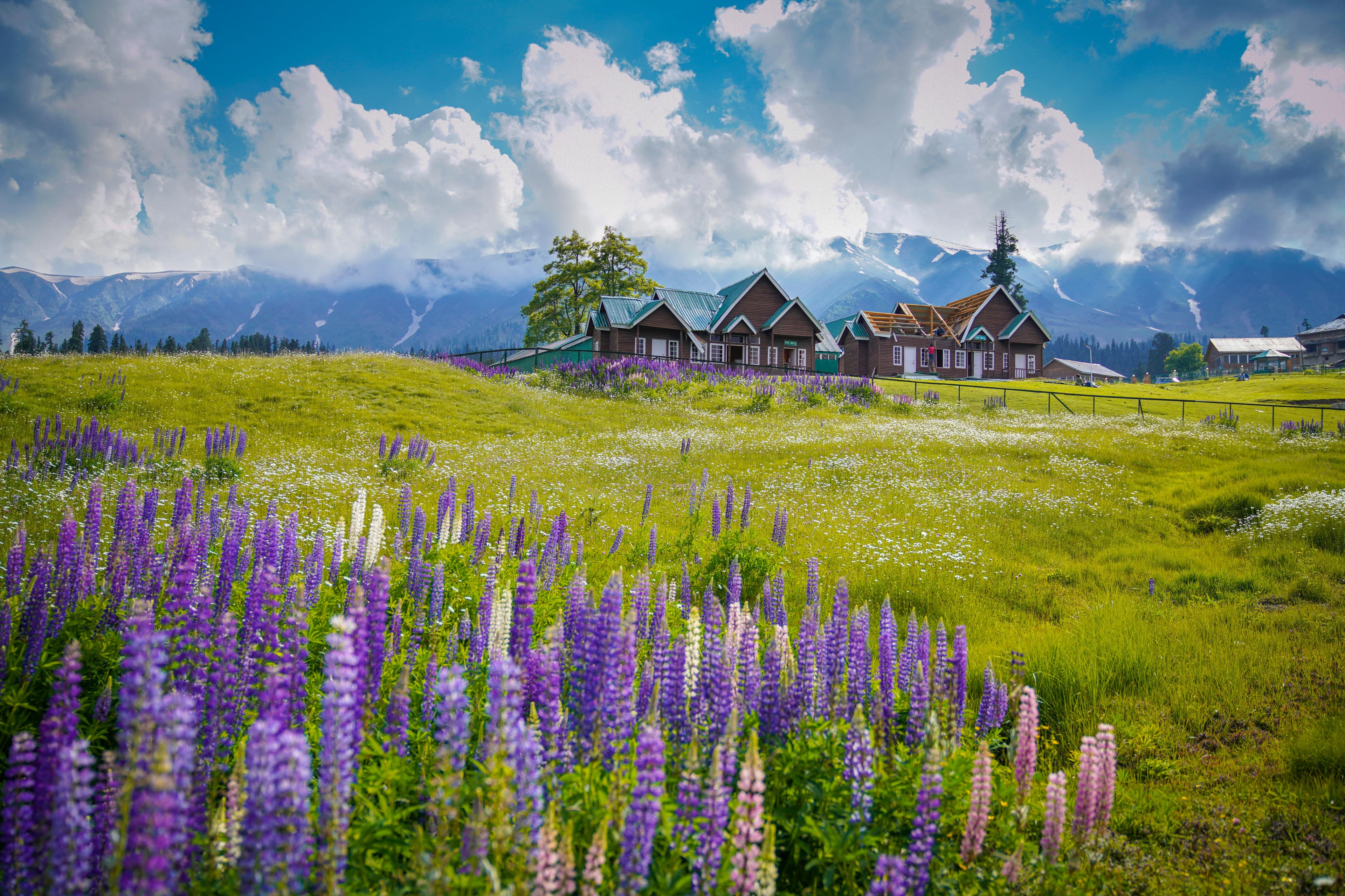 Gulmarg Biosphere Reserve