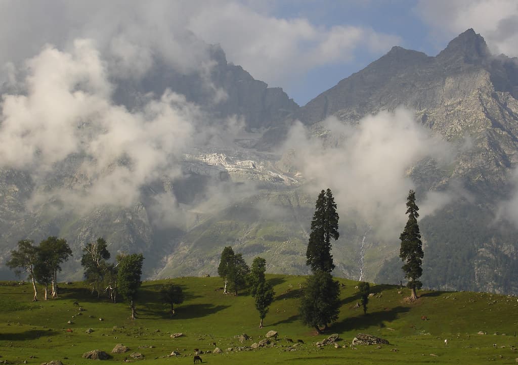 Thajiwas Glacier
