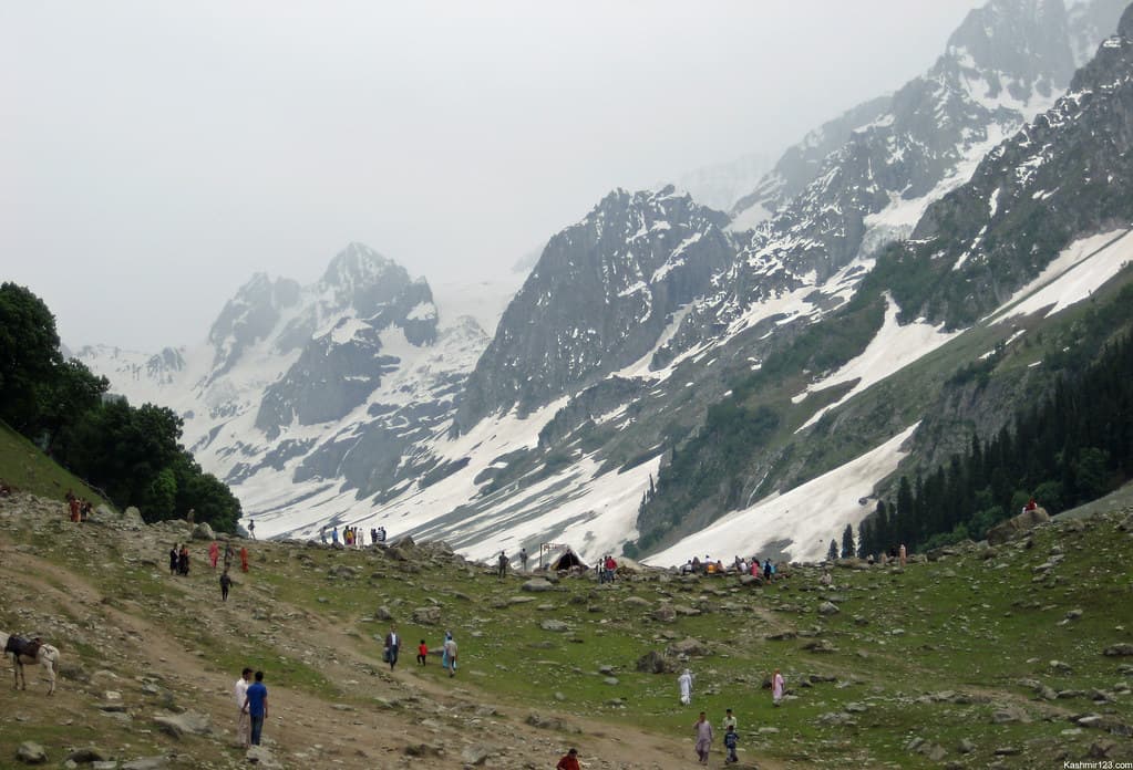 Thajiwas Glacier