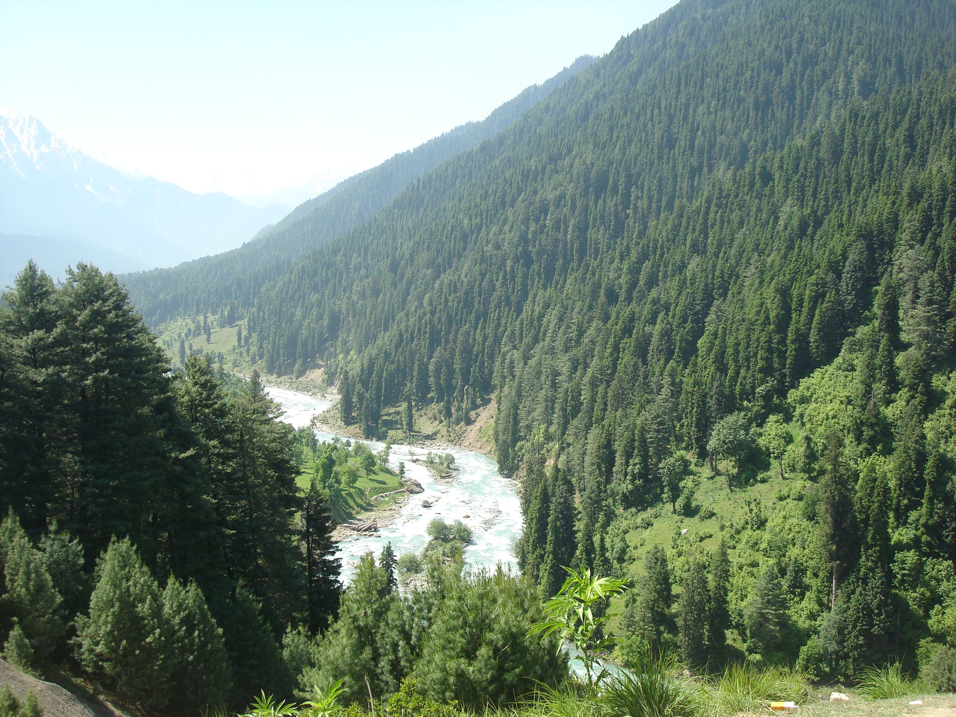 Aru Valley