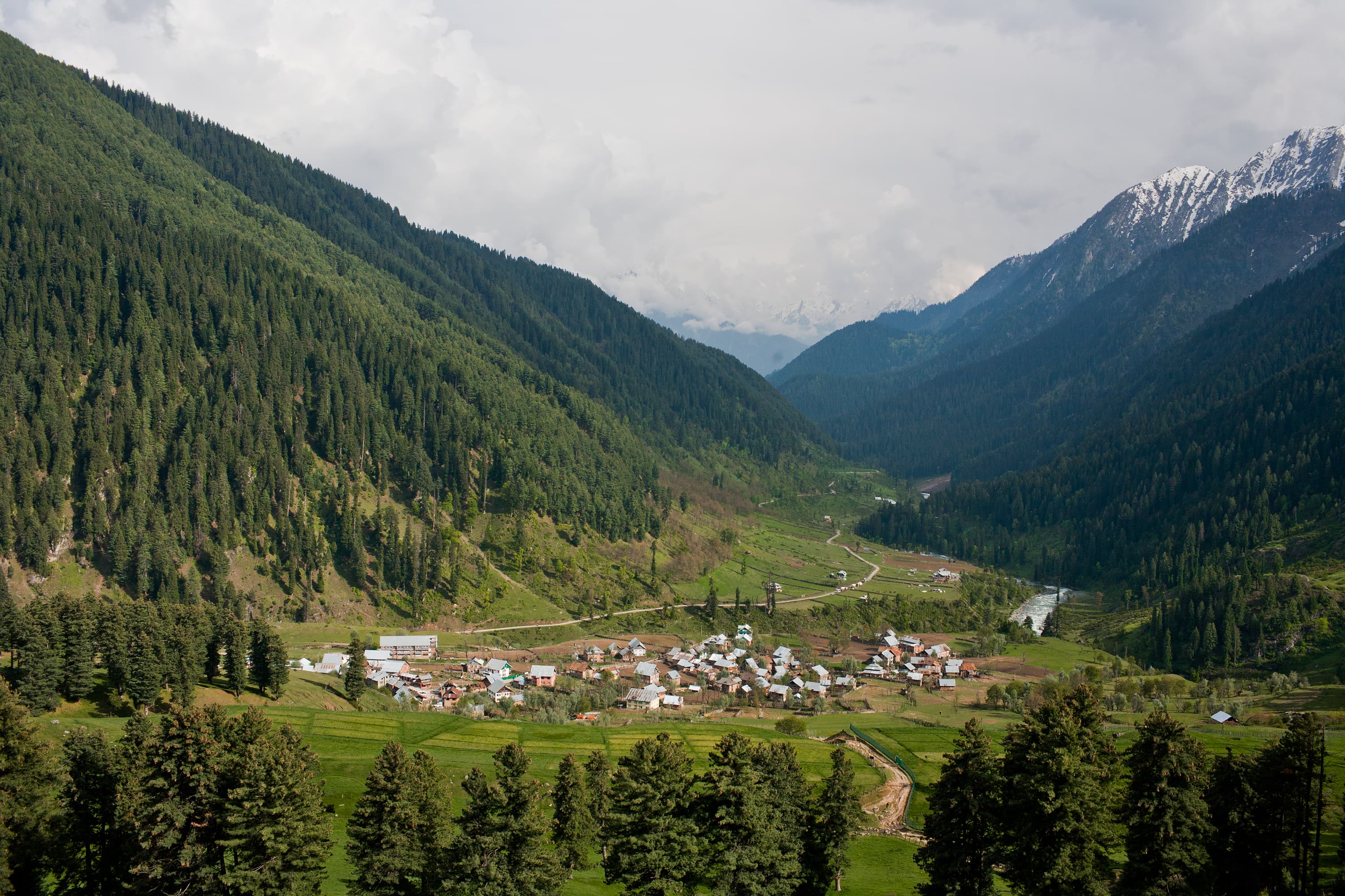 Aru Valley