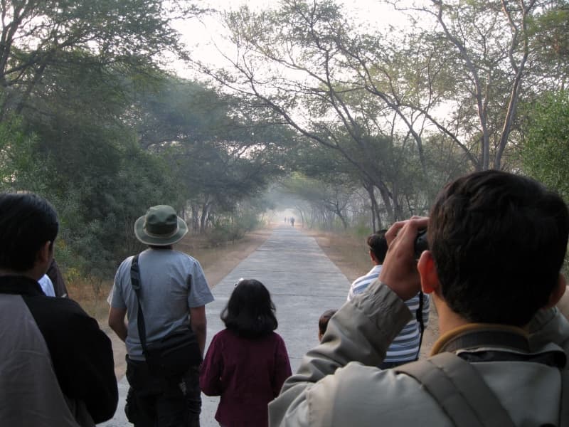 Bird Watching in Chikmagalur