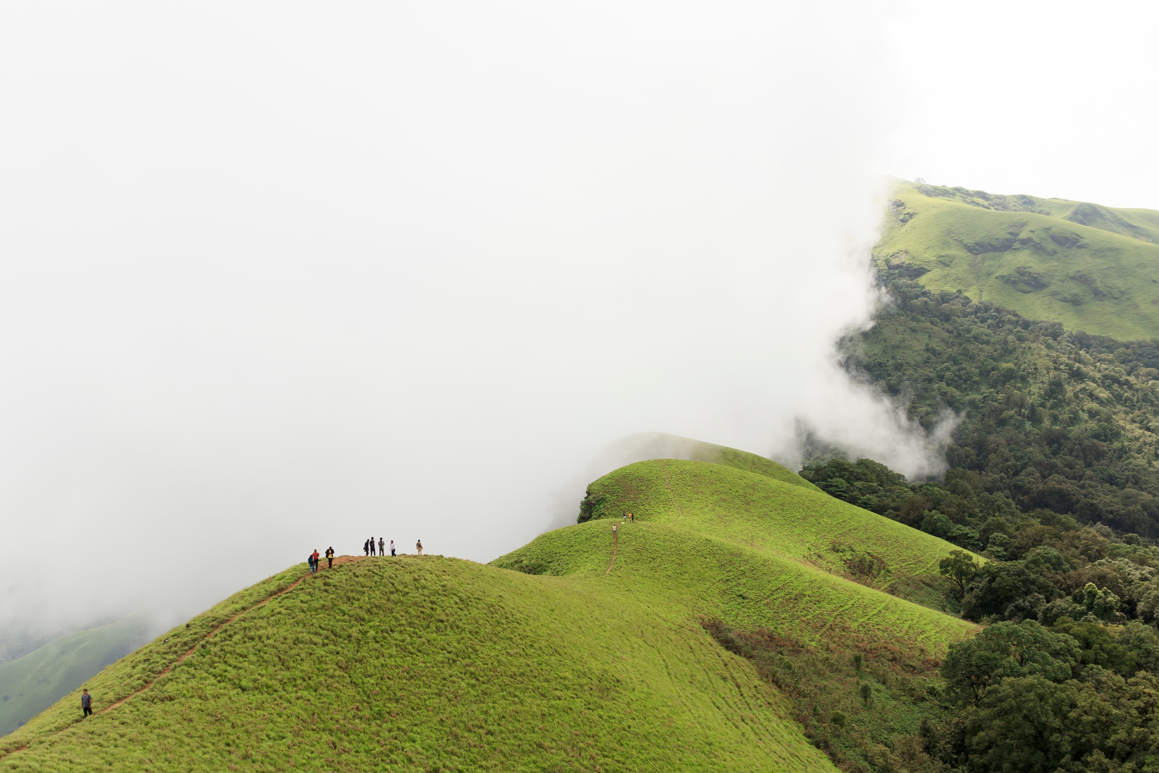 Netravati Peak Trek, Chikmagalur