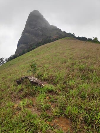 Kurinjal Peak Trek, Kudremukh Range