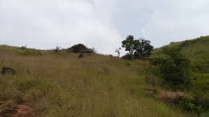 Kemmangundi Hill Station