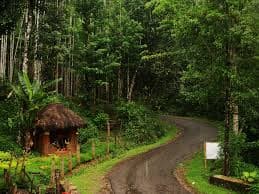 Agumbe Hill Station