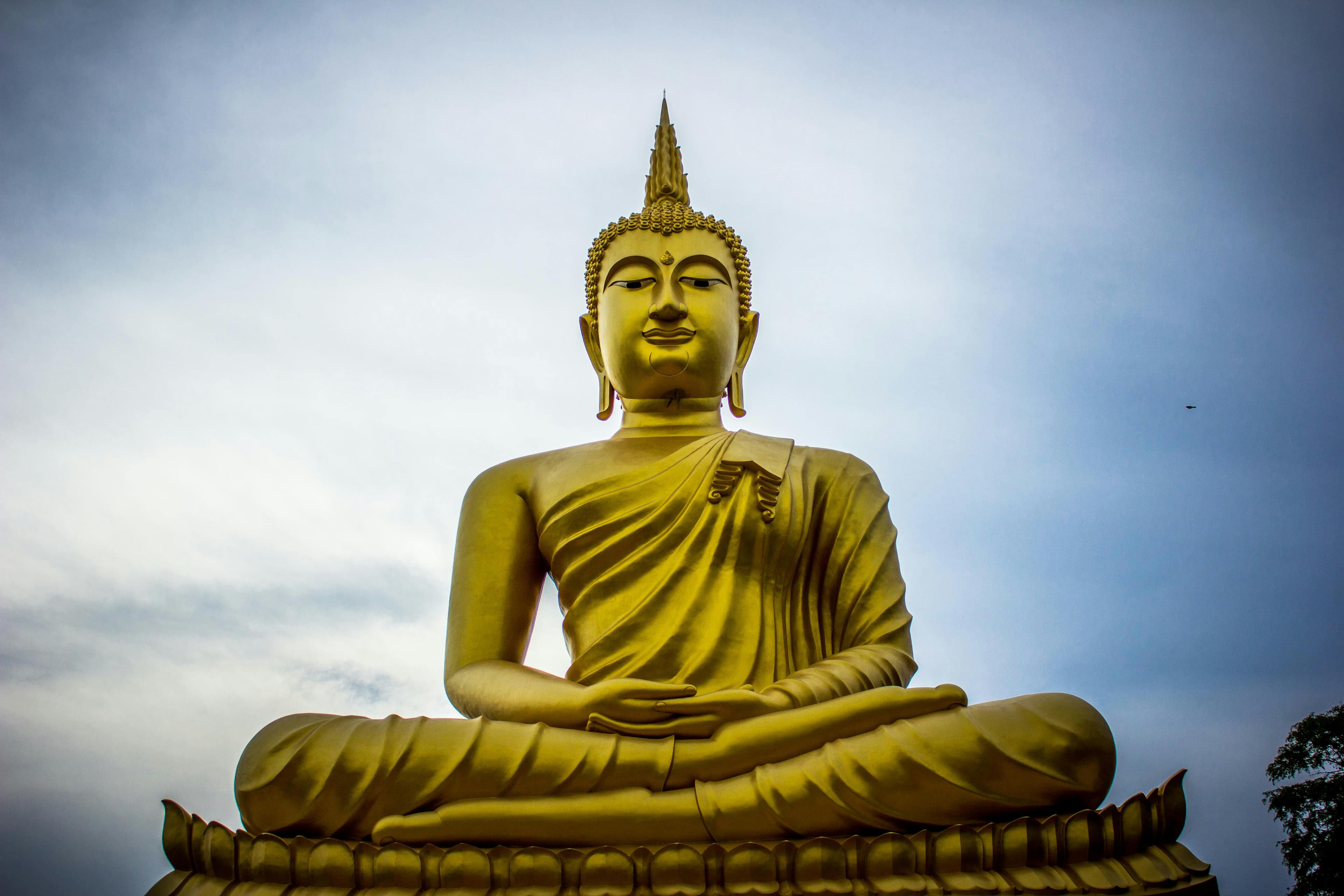 View of Buddha Statue