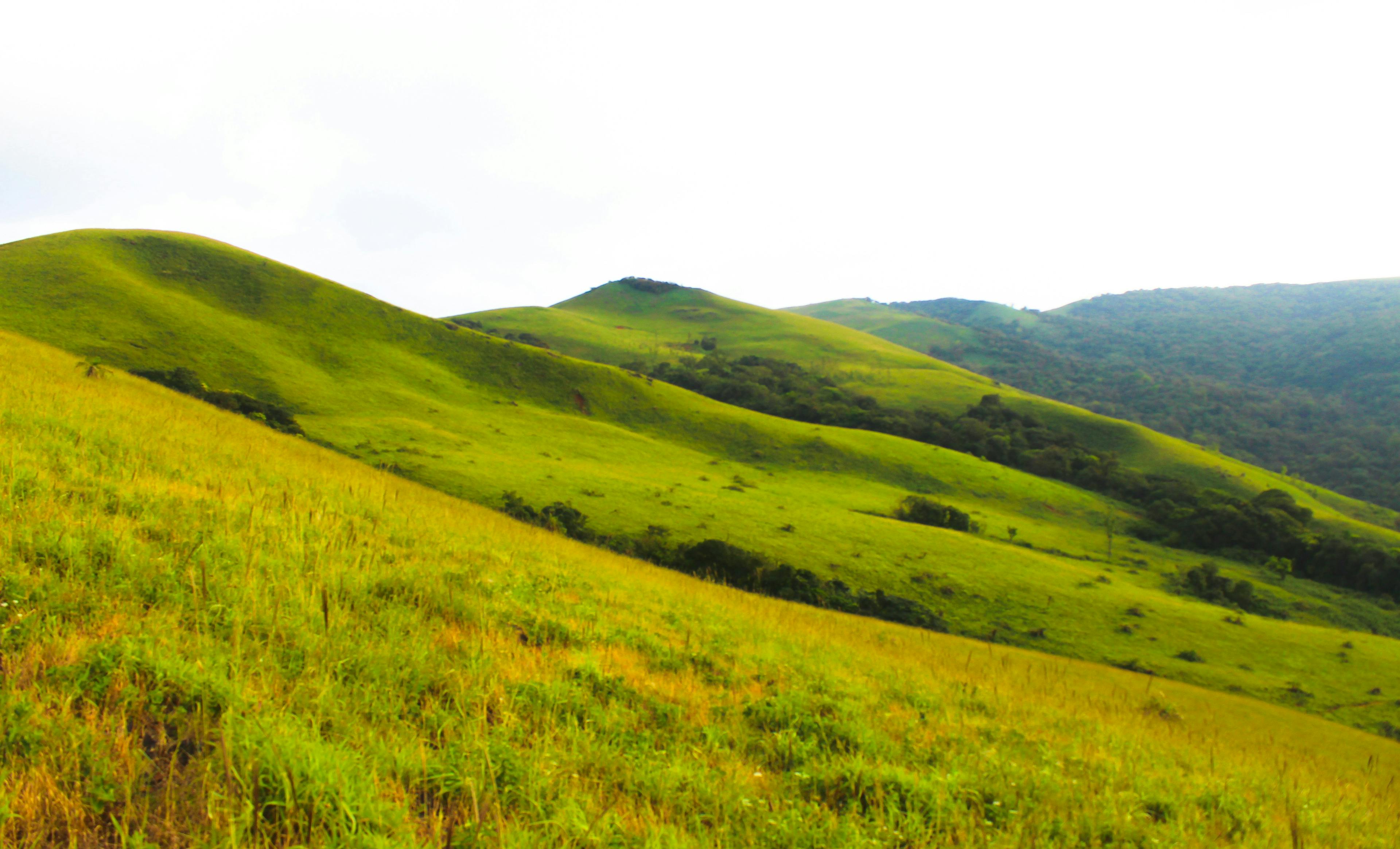 Chikmagalur Landscape