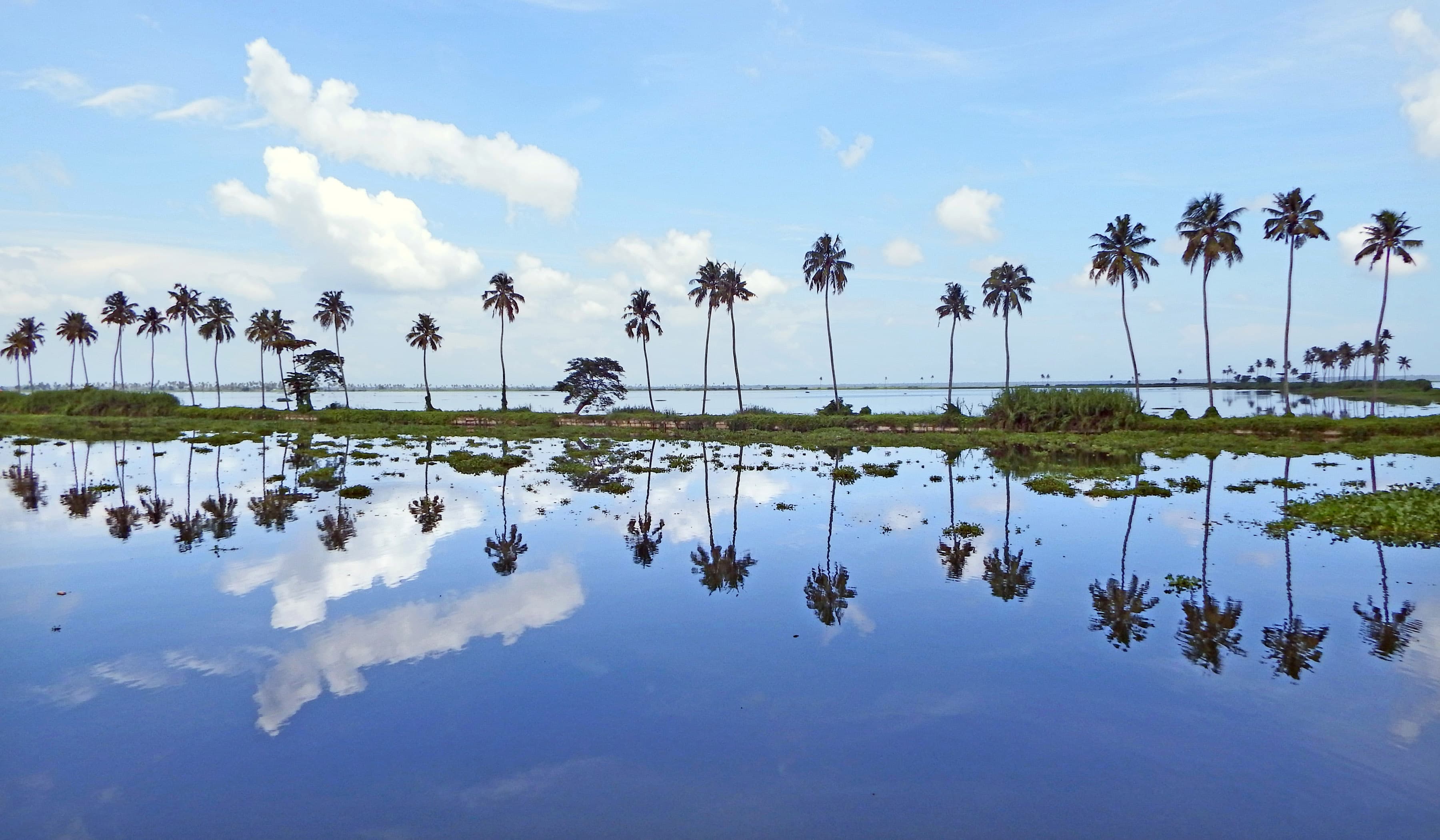 Kottayam