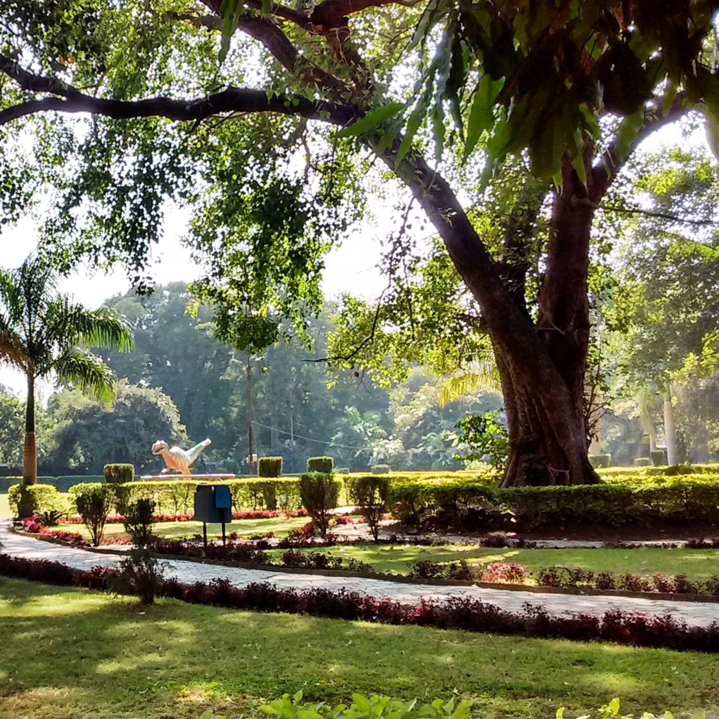 The greenery in Lalbagh