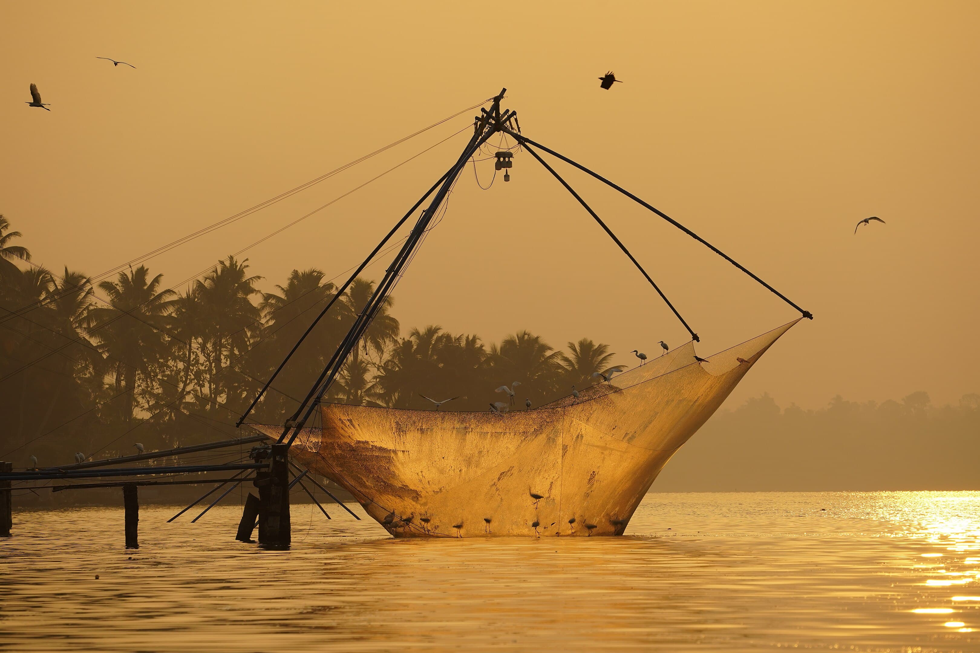 Chinese Fishing Nets