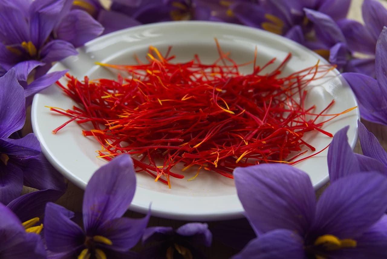 Saffron Festival 