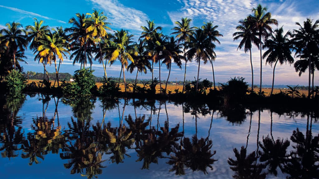 View of  Kuttanad Backwaters